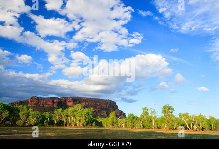 Nel tardo pomeriggio luce su Nourlangie Rock, come si vede dal Anbangbang Billabong. Foto Stock