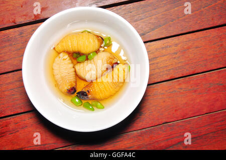 Red Palm Curculione Larva o worm di noce di cocco o Duong dua o sago worm (Rhynchophorus ferrugineus) dal Vietnam Foto Stock