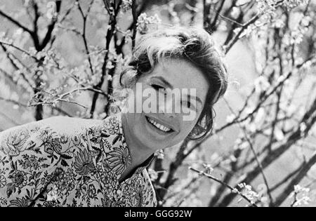 DIE FRAU DES ANDEREN / A piedi nella primavera pioggia USA 1969 / Guy Green INGRID BERGMAN (Libby Meredith), 'una passeggiata nella primavera pioggia", 1969. Regie: Guy verde pseudonimo. Una passeggiata in primavera la pioggia Foto Stock