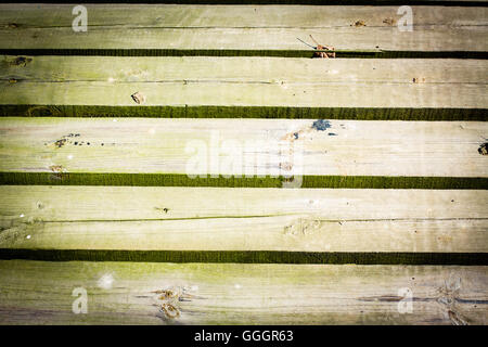 Texture di legno con fessure tra le tavole dello sfondo. Foto Stock