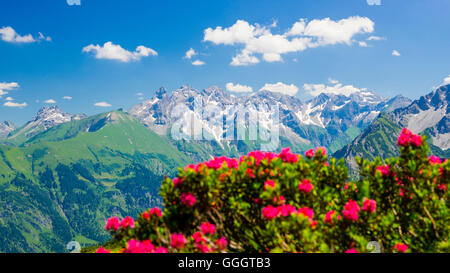 Geografia / viaggi, in Germania, in Baviera, il panorama dal Fellhorn (picco), centrale cresta principale dell'Algovia orientale delle Alpi, Allgaeu, Freedom-Of-Panorama Foto Stock