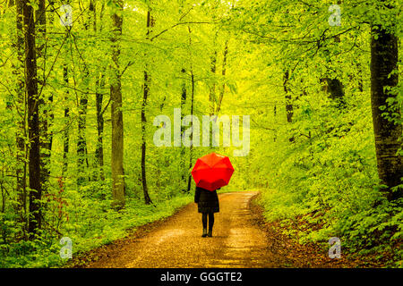 Geografia / viaggi, GERMANIA Baden-Wuerttemberg, donna, 50+, pista forestale in primavera, faggio (Fagus sylvatica), montagne sveve, Model-Released, Freedom-Of-Panorama Foto Stock