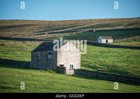 Teesdale, vicino alla foresta-in-Teesdale Foto Stock