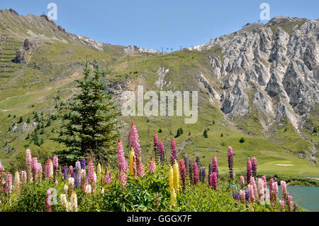 Lago di Tignes e fiori in Francia Foto Stock