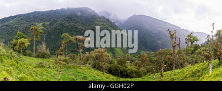 Vista panoramica di Cloud Forest lungo la Andes pendio orientale. Ecuador, Sud America. Foto Stock