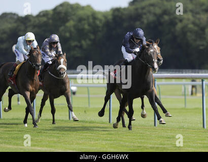 Royal Artillery cavalcato da Colm O'Donoghue (blu scuro) vince la Betfred rosa di Lancaster picchetti durante Betfred rosa di Lancaster Stakes Ladies giorno all Ippodromo di Haydock Park. Stampa foto di associazione. Picture Data: Sabato 6 agosto 2016. Vedere la storia di PA RACING Haydock. Foto di credito dovrebbe leggere: John Giles/filo PA. Foto Stock