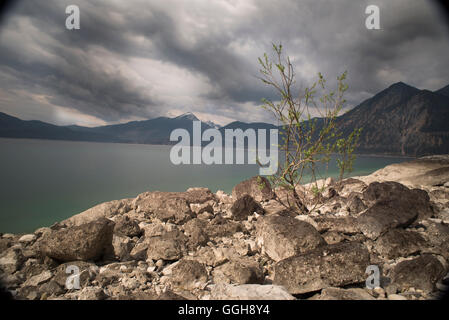 Spiaggia rocciosa con la bassa marea a Lago Walchensee, Lago Walchensee, Alpi Alta Baviera, Baviera, Germania Foto Stock