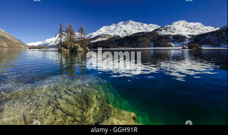 Il lago di Sils e una piccola isola vicino a Plaun da Lej con isola sulla sponda opposta, Engadina, Grigioni, Svizzera Foto Stock