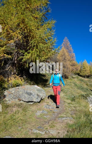 Woman Hiking sopra il lago di Sils, Engadina, Grigioni, Svizzera Foto Stock