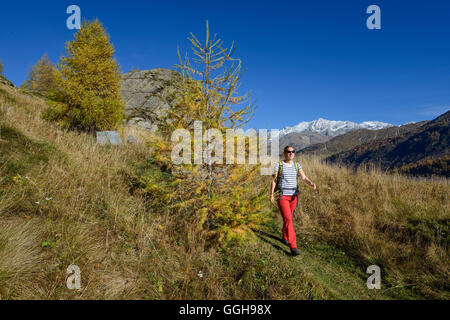 Woman Hiking sopra il lago di Sils con Piz Corvatsch (3451 m) sullo sfondo, Engadina, Grigioni, Svizzera Foto Stock