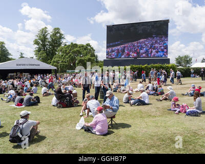 Gli spettatori del Festival di Goodwood di velocità 2014, racing, auto racing, classic car, Chichester, Sussex, Regno Unito, Gran Bretagna Foto Stock