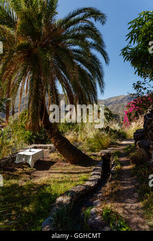 Tavolo da giardino sotto il palm tree, sentiero escursionistico lungo channal irrigazione, Riserva Naturale, Parque Natural de Tamadaba, UNESCO Biosph Foto Stock