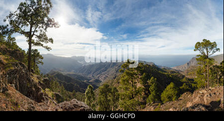 Vista dalla montagna di Altavista, canaria di alberi di pino, San Nicolas De Tolentino e della valle di El Risco, Riserva Naturale, Parque Nat Foto Stock