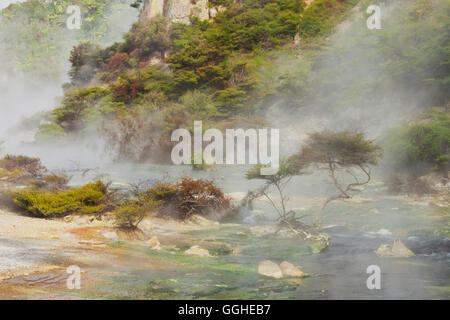 Hot Springs, Valle Vulcanica di Waimangu, Rotorua, Baia di Planty, Isola del nord, Nuova Zelanda Foto Stock