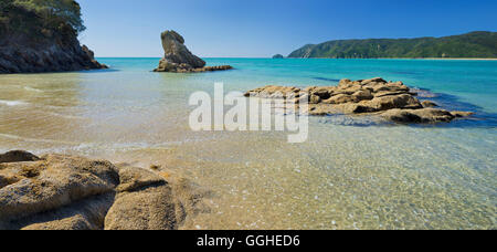 La spiaggia e gli scogli a Wainui Bay, Tasmania, Isola del Sud, Nuova Zelanda Foto Stock