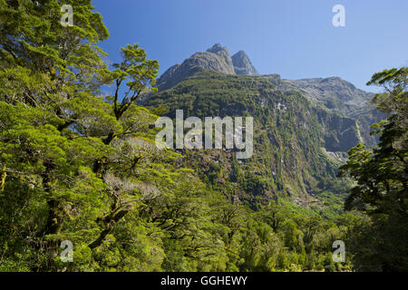 Montare Talbot, Alpi, il Parco Nazionale di Fiordland, Southland, Isola del Sud, Nuova Zelanda Foto Stock