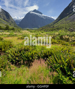 Montare Talbot con felci in primo piano, il Parco Nazionale di Fiordland, Southland, Isola del Sud, Nuova Zelanda Foto Stock