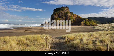 Lion Rock, Piha, Auckland, Isola del nord, Nuova Zelanda Foto Stock