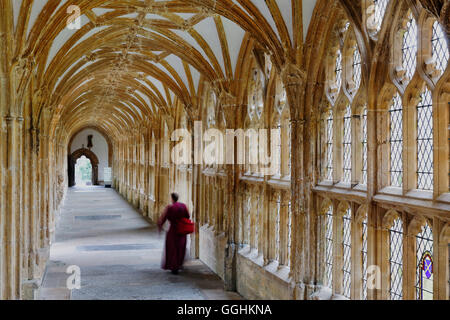 Il chiostro in Cattedrale di Wells, pozzi, Somerset, Inghilterra, Gran Bretagna Foto Stock