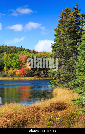 Caduta delle Foglie lungo un movimento lento fiume nelle zone rurali di Prince Edward Island, Canada Foto Stock