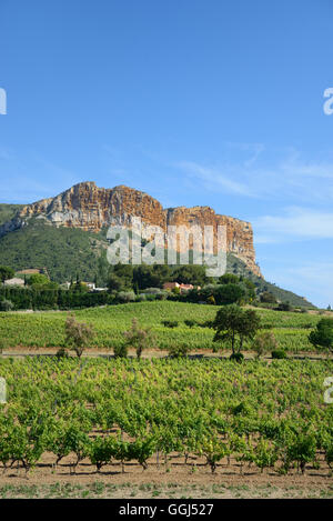 Cassis vigneti e le scogliere del Cap Canaille promontorio sulla costa mediterranea, Cassis Provenza Francia Foto Stock