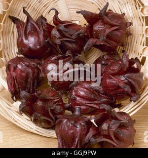 Roselle - della Giamaica Sorrel (Hibiscus sabdariffa)' FRU080672 Foto Stock