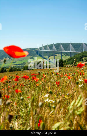 Viadotto Millau sopra il fiume Tarn, Parco Naturale Regionale dei Grands Causses, il viadotto di Millau, Aveyron dipartimento, Occitanie, Francia Foto Stock