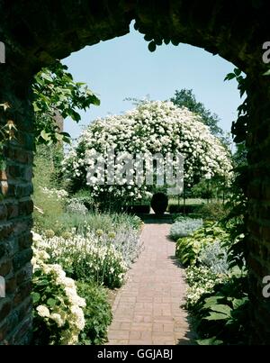 Sissinghurst NT - Cranbrook Kent - Il giardino Bianco- - si prega di credito: Foto Hort/Sissinghurst NT GND Compul081283 Foto Stock