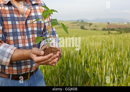 Man mano tenendo un impianto. concetto di ecologia Foto Stock