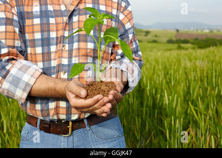 Man mano tenendo un impianto. concetto di ecologia Foto Stock