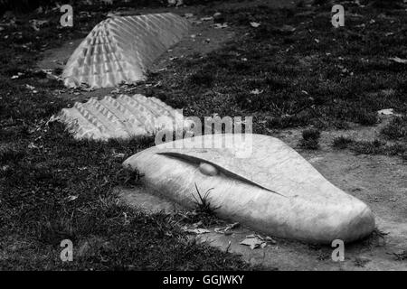 Un coccodrillo in marmo emergenti dall'erba Foto Stock