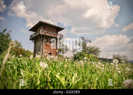 Ricostruita torre di avvistamento romana a Limes in un dente di leone e miscelato del frutteto, Lorch monastero, Svevo Alp, Baden-Wuerttemberg, Foto Stock