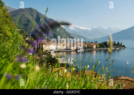 Menaggio, Lago di Como, il Lago di Como in provincia di Como, Lombardia, Italia Foto Stock