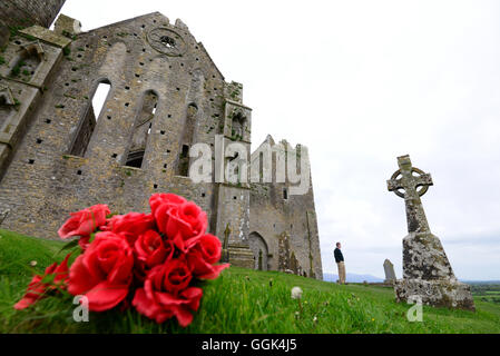 Presso la Rocca di Cashel, Cashel, nella contea di Tipperary, Irlanda Foto Stock