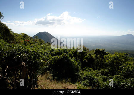 Paesaggio lussureggiante e Vulcano Izalco, vicino Santa Ana, El Salvador, America Centrale Foto Stock