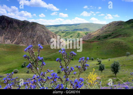 Il paesaggio a sud di Erzurum, Anatolia Orientale, orientale della Turchia Turchia Foto Stock