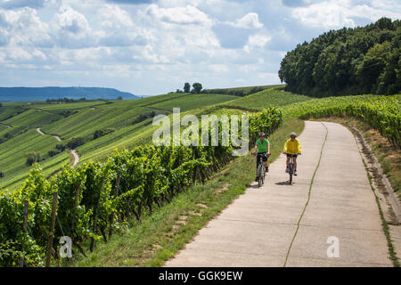 I ciclisti su un percorso attraverso Escherndorfer Fuerstenberg vigna vicino Keohler, Franconia, Baviera, Germania Foto Stock