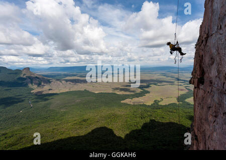 Scalatore salendo su una corda fissa, Acopan Tepui, Macizo de Chimanta, Venezuela Foto Stock