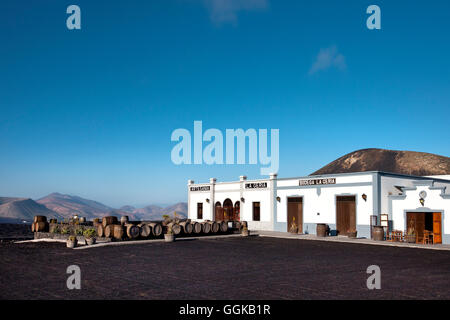 Bodega La Geria, regione del vino La Geria, Lanzarote, Isole Canarie, Spagna Foto Stock