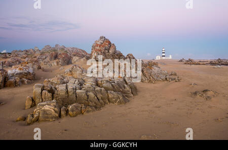 Cape Recife nella luce della sera, Algoa Bay, Oceano Indiano, Port Elizabeth, Eastern Cape, Südafrika Foto Stock