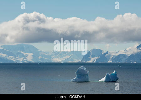 Paesaggio antartico con gli iceberg, Marguerite Bay, Antartide Foto Stock