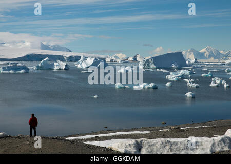 Vista dalla stazione Rothera ai circostanti montagne innevate con un uomo in piedi sul versante di una collina affacciato sulla baia con gli iceberg, Ro Foto Stock