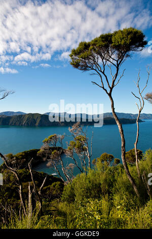 Vista dalla cima di Motuara Island a Long Island, isola di Motuara, Esterno Queen Charlotte Sound, Marlborough, Isola del Sud, Nuova Foto Stock