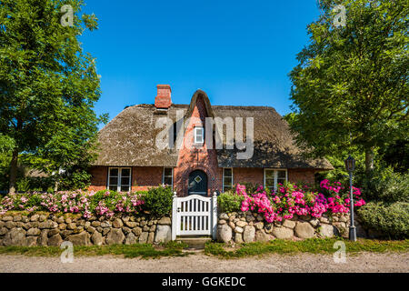 Frisone house, Keitum, isola di Sylt, Nord Isole Frisone, Schleswig-Holstein, Germania Foto Stock