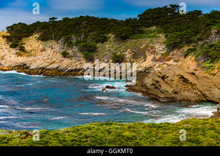 Paesaggi della California Point Lobos State Reserve vicino a Santa Cruz Stati Uniti Foto Stock