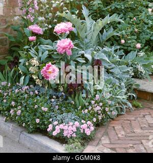 Un confine a colori - argento & Rosa - (Country Living Magazine mostra al Chelsea Flower Show 1993) OCB Compuls050451 Foto Stock