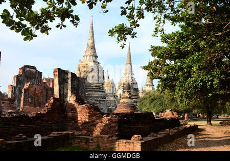 Il Wat Phra Sri Sanphet, il vecchio Palazzo Reale nell'antica città di Ayutthaya, Thailandia Foto Stock