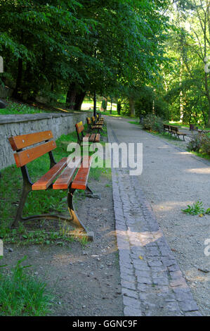 Fila di banchi vuoti accanto al park alley in vista prospettica Foto Stock
