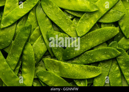 Pila di verde bagnato i piselli in cialde Foto Stock