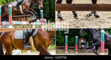 Collage di quattro foto, in sella ad un cavallo closeup Foto Stock